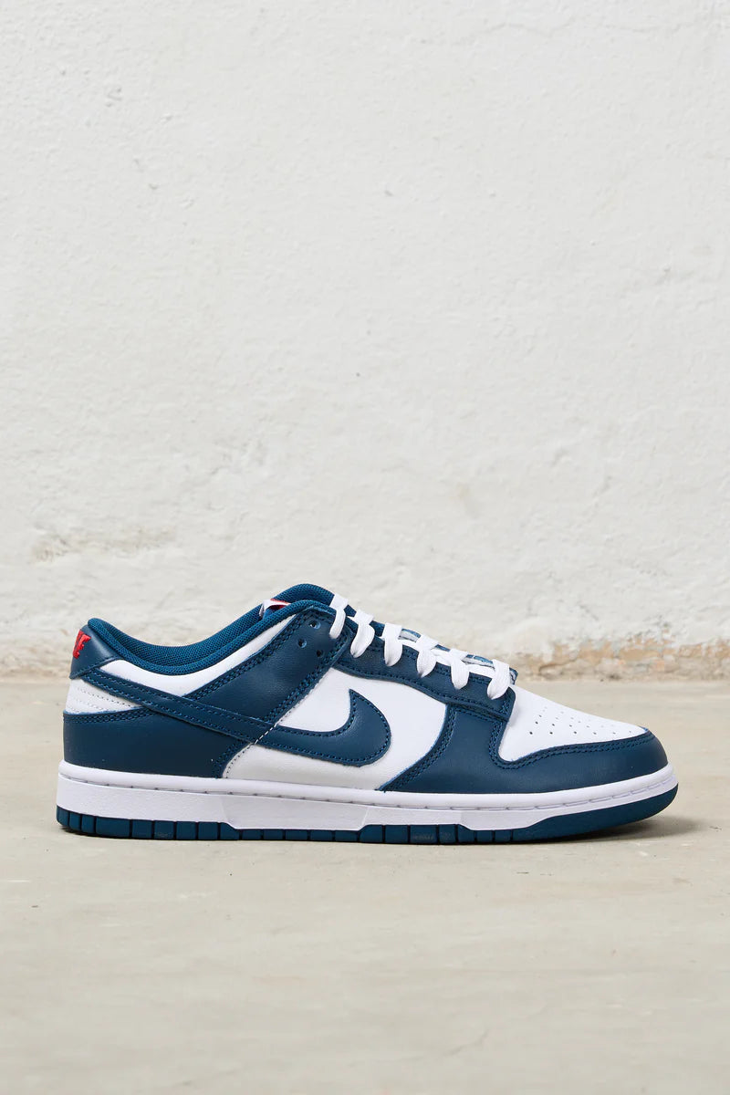 Nike Dunk Low 'Valerian Blue'