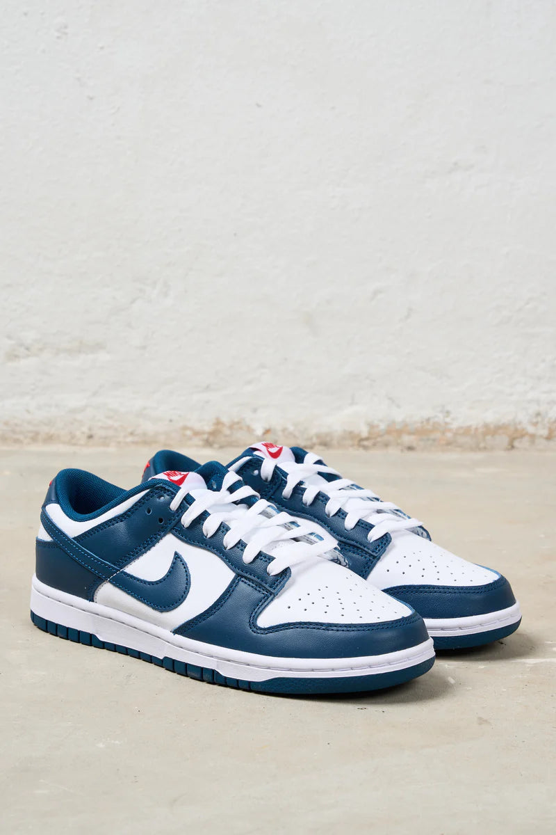 Nike Dunk Low 'Valerian Blue'